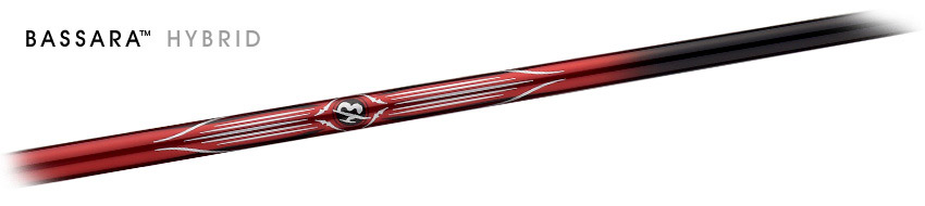 BASARA HYBRID BASARA HYBRID